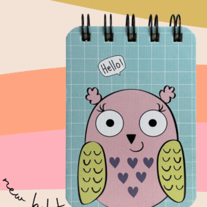 Owl Pocket-Size Diary