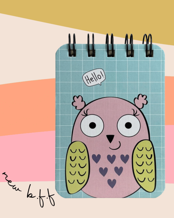 Owl Pocket-Size Diary