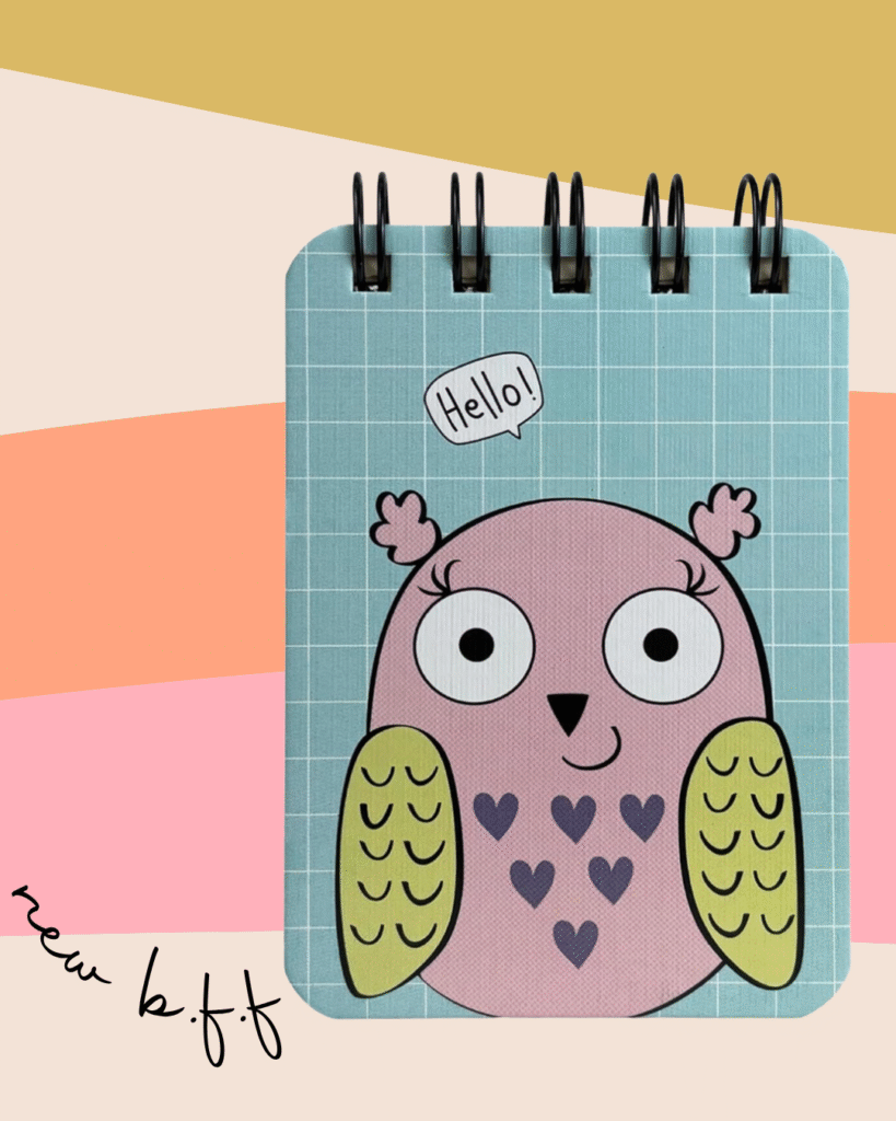 Owl Pocket-Size Diary